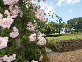 Summer at Butterton Moor House